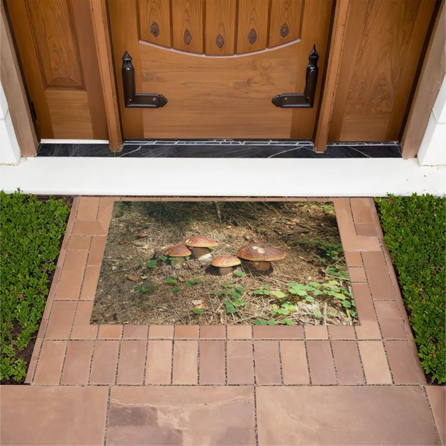 Felpudo boletus (Exterior)