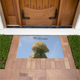 Felpudo Bonito Lime Hydrangea Blue Sky Doormats
