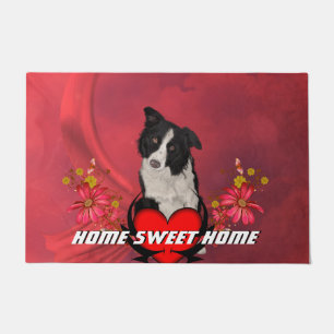 Felpudo Border collie lindo
