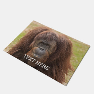 Felpudo Borneo Orangutan Beautiful Photography