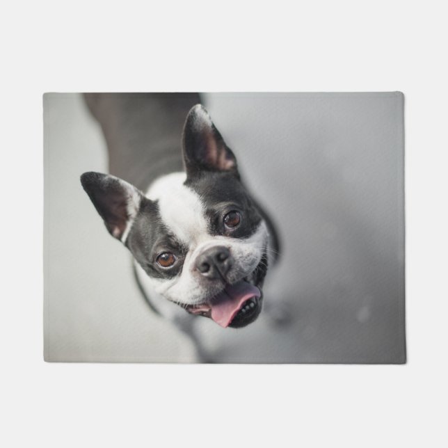 Felpudo Boston Terrier mira a Doormat (Anverso)