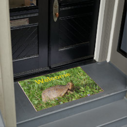 Felpudo Box Turtle Doormat