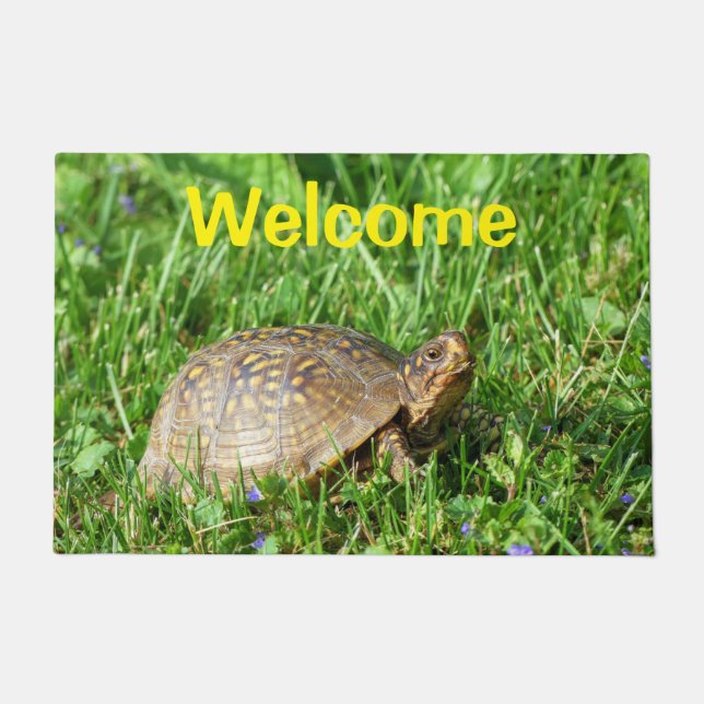 Felpudo Box Turtle Doormat (Anverso)