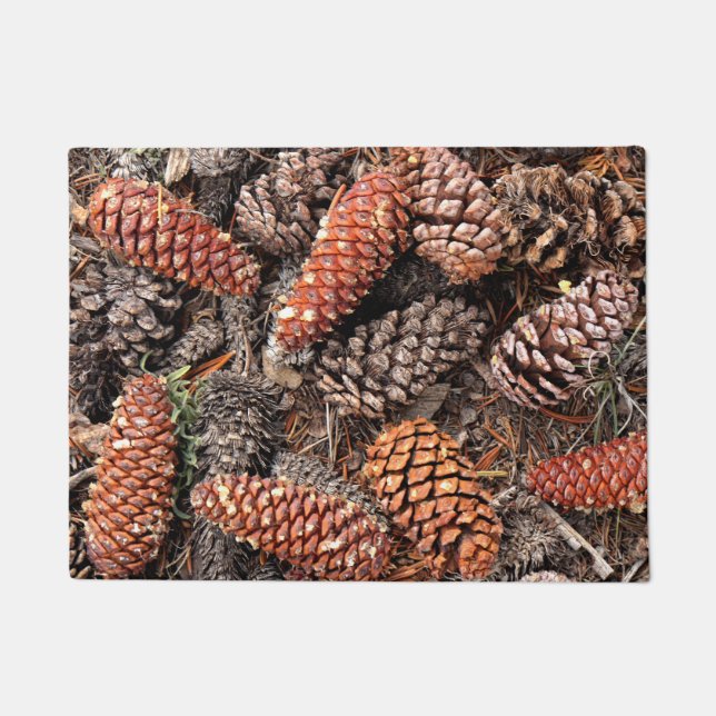 Felpudo Bristlecone Pine Cones (Anverso)