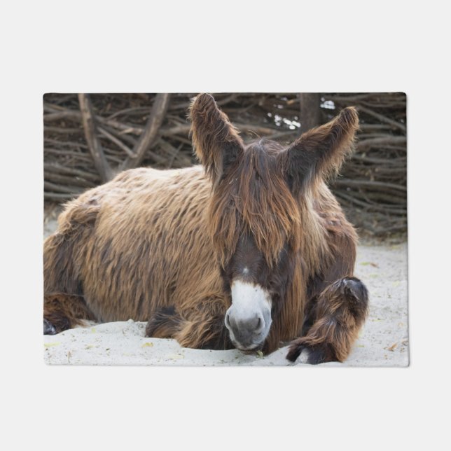 Felpudo Brown Poitou Donkey (Anverso)
