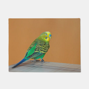 Felpudo Budgie