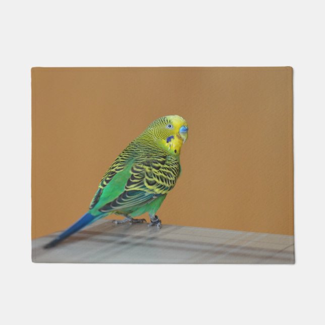 Felpudo Budgie (Anverso)