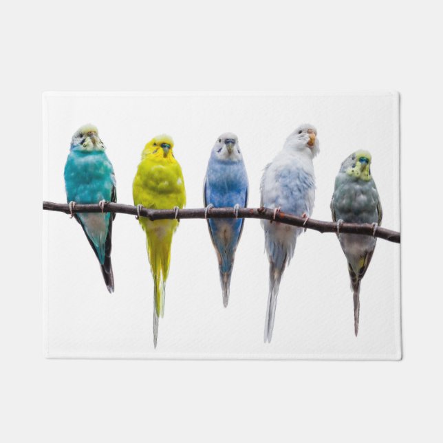 Felpudo Budgies (Anverso)
