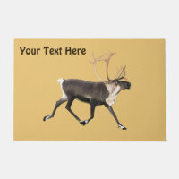 Bull Caribou