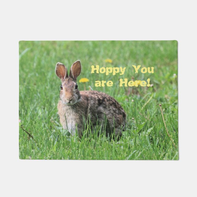 Felpudo Bunny (Anverso)