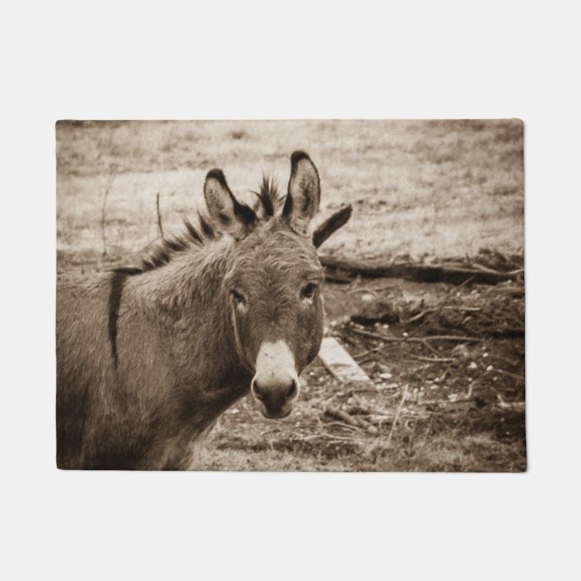 Felpudo Burro (Anverso)