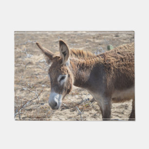 Felpudo Burro adorable