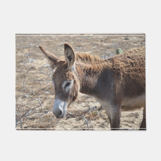 Felpudo Burro adorable (Anverso)