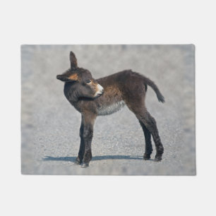 Felpudo Burro Doormat