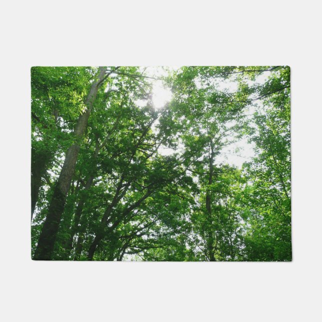 Felpudo Buscando árboles de verano (Anverso)