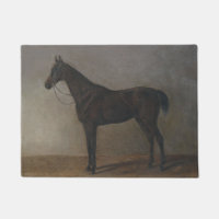 Caballo Gelding Bay (por Albrecht Adam)