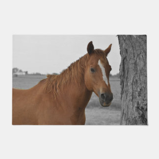 Felpudo Caballo marrón con fondo negro y blanco