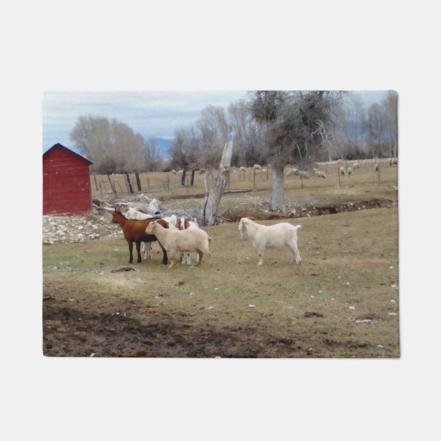 Felpudo Cabras en la cabaña roja (Anverso)