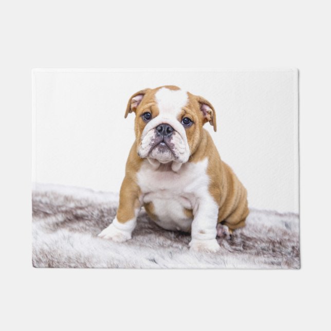Felpudo Cachorro adorable de Bulldog (Anverso)