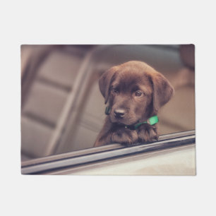Felpudo Cachorro De Chocolate En Coche