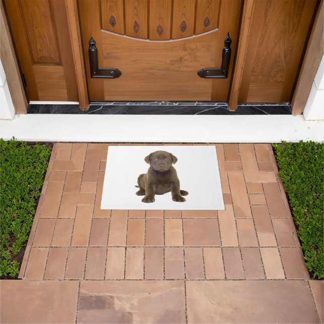 Felpudo Cachorro de Labrador Chocolate (Exterior)