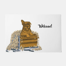 Felpudo Cachorro en una caja