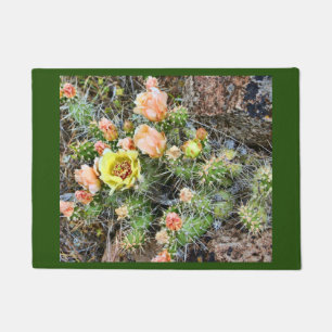 FELPUDO CACTUS FRÁGIL DEL HIGO CHUMBO