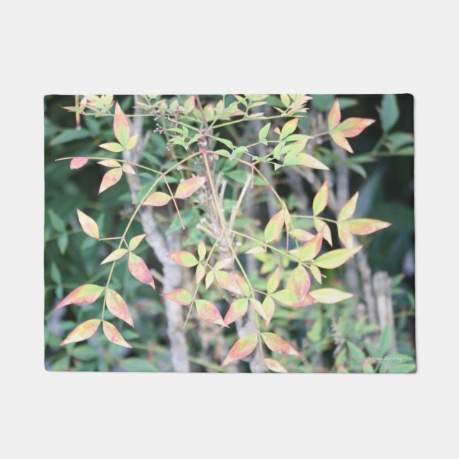 Felpudo Caer Por Tu Puerta Mat (Anverso)