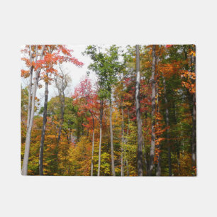 Felpudo Caída en la colorida fotografía de otoño en el bos
