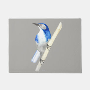 Felpudo California friega a Jay