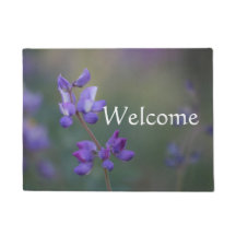 Campo de Lupine