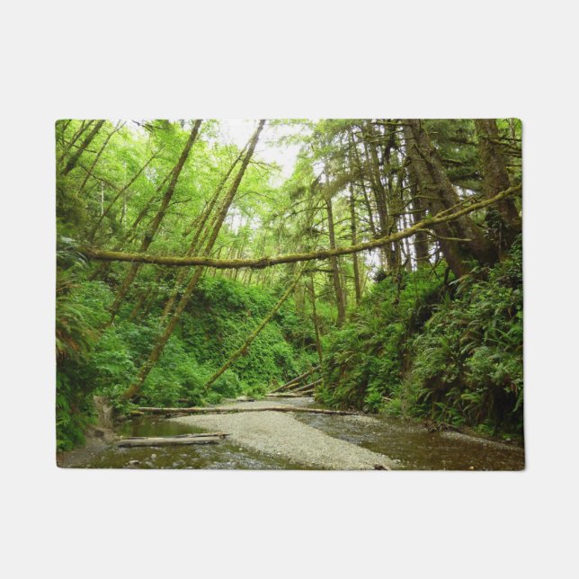 Felpudo Cañón Fern I en el Parque Nacional Redwood (Anverso)