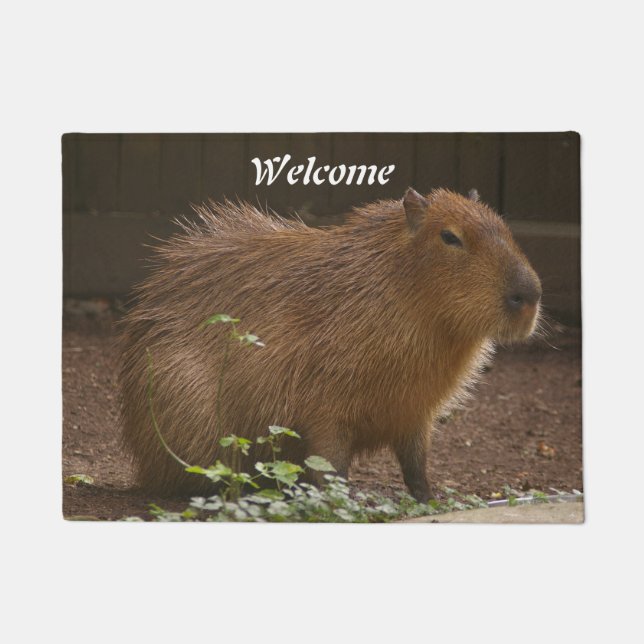 Felpudo Capibara (Anverso)