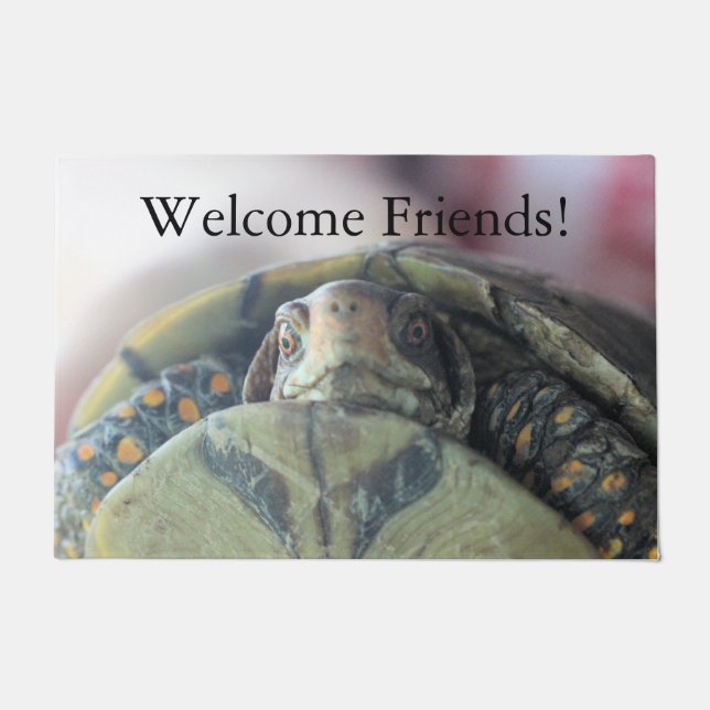 Felpudo Cara de tortuga (Anverso)