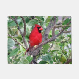Felpudo Cardenal en un árbol de limón - Doormat