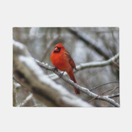 Felpudo Cardenal macho