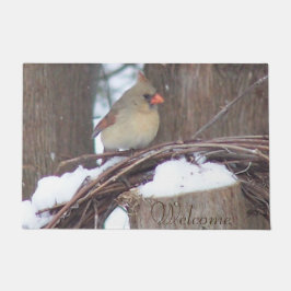 Felpudo Cardinal Door Mat