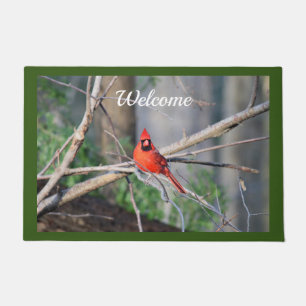 Felpudo Cardinal Spring Woods