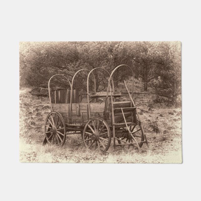 FELPUDO CARRO CUBIERTO (Anverso)