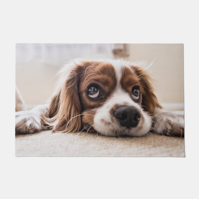 Felpudo Cavalier rey charles spaniel (Anverso)