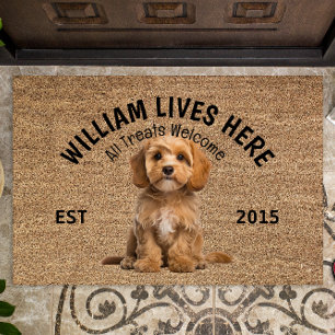 Felpudo Cavapoo Perro Personalizado Perro Perro Peregrino