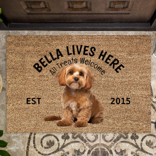 Felpudo Cavoodle Personalizado Doormat Lover