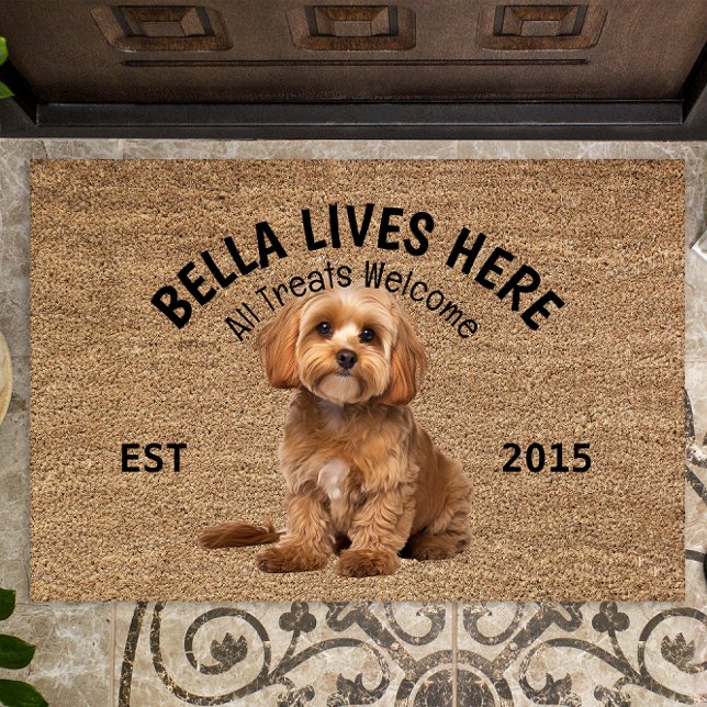 Felpudo Cavoodle Personalizado Doormat Lover (Subido por el creador)