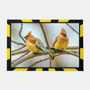 Felpudo Cedar Waxwing - Fotografía original