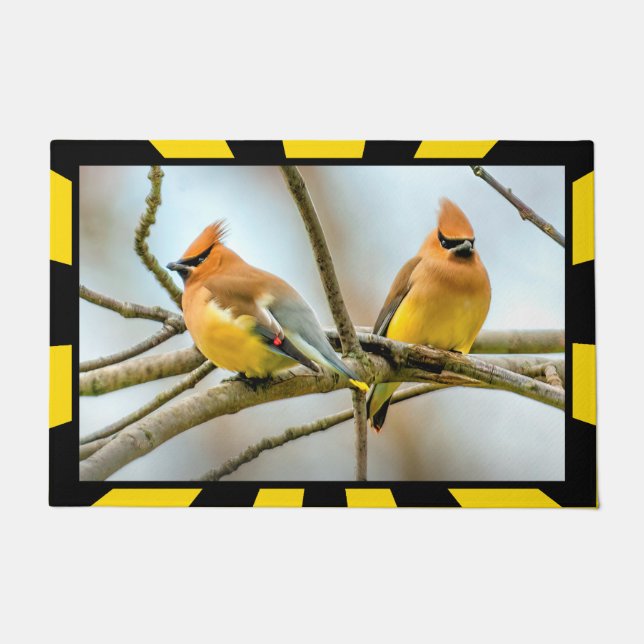 Felpudo Cedar Waxwing - Fotografía original (Anverso)