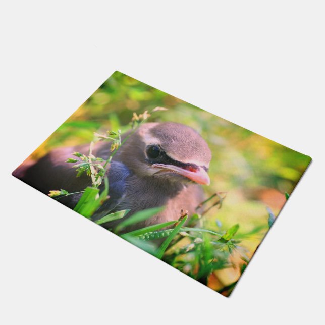 Felpudo Cedro Amarillo lindo Waxwing Fledglglgling Bird (Angular)
