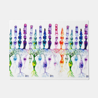 Felpudo Células cañas y neurona bipolar de la retina