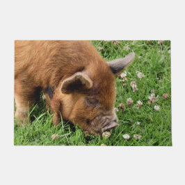 FELPUDO CERDO CUTIDO