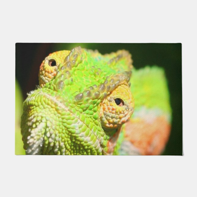 Felpudo Chameleon Doormat (Anverso)