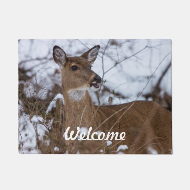 Felpudo Chewy Welcome Doormat (Anverso)